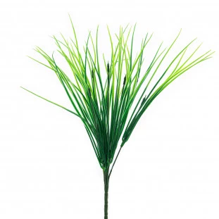 Buque Capim x7 34 Cm 