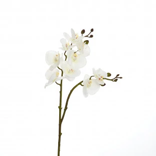 Orquídea Artificial Toque Real Com 2 Galhos x9 Cabeças 68 Cm - Branca