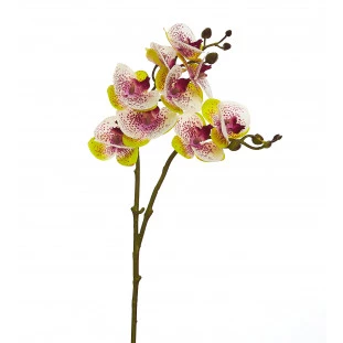Orquídea Artificial Toque Real Com 2 Galhos x9 Cabeças 68 Cm - Roxa/Branca