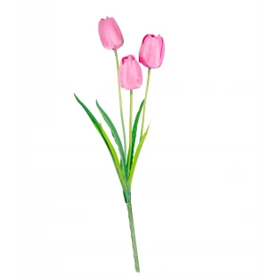 Haste Tulipa x3 Flores Com 52 Cm - Pink