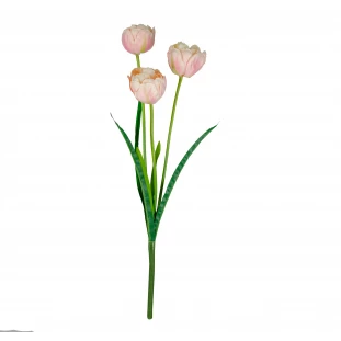 Haste Tulipa x3 Flores com 51 Cm - Pink 