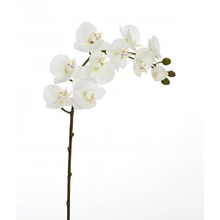 Orquídea Artificial Toque Real x10 Cabeças 77 Cm - Branca