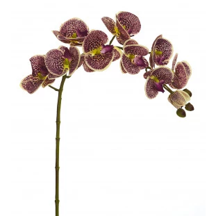 Orquídea Artificial Toque Real x10 Cabeças 77 Cm - Vinho