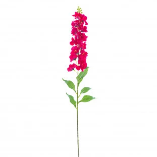 Haste Delfino 82 Cm - Pink