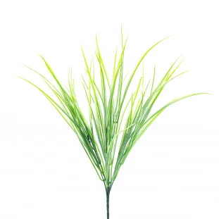 Buque Capim x7 com 34 Cm 