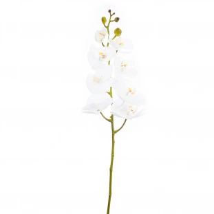 Orquídea Artificial Toque Real x8 Cabeças 100 Cm - Branca