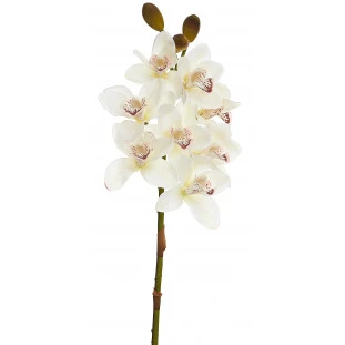 Orquídea Artificial Toque Real Cimbidium x8 Cabeças 74 Cm - Branca