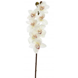 Orquídea Artificial Toque Real Cimbidium  x9 Cabeças 84 Cm - Branca