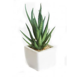 Cacto Vaso Louca 9 Cm - Branco
