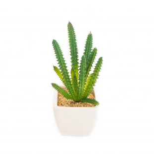Cacto Vaso Louca 15 Cm - Branco