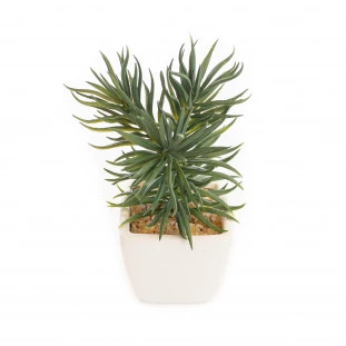 Cacto Vaso Louca 15 Cm - Branco