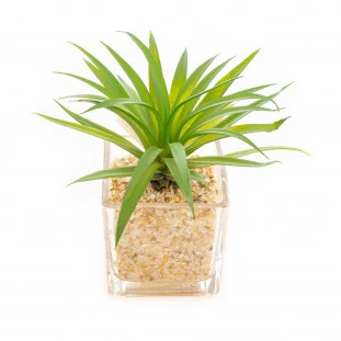 Vaso Vidro 15 Cm