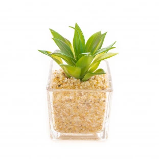 Vaso Vidro 15 Cm