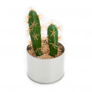 Cacto Vaso Redondo 19 Cm
