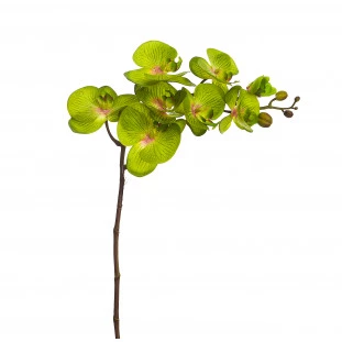 Orquídea Artificial Toque Real x8 Cabeças 100 Cm - Verde